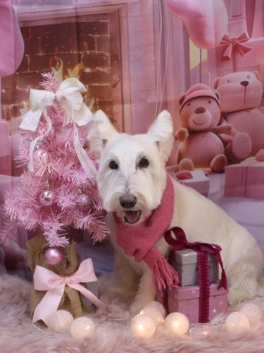 20241230ムーミンくん